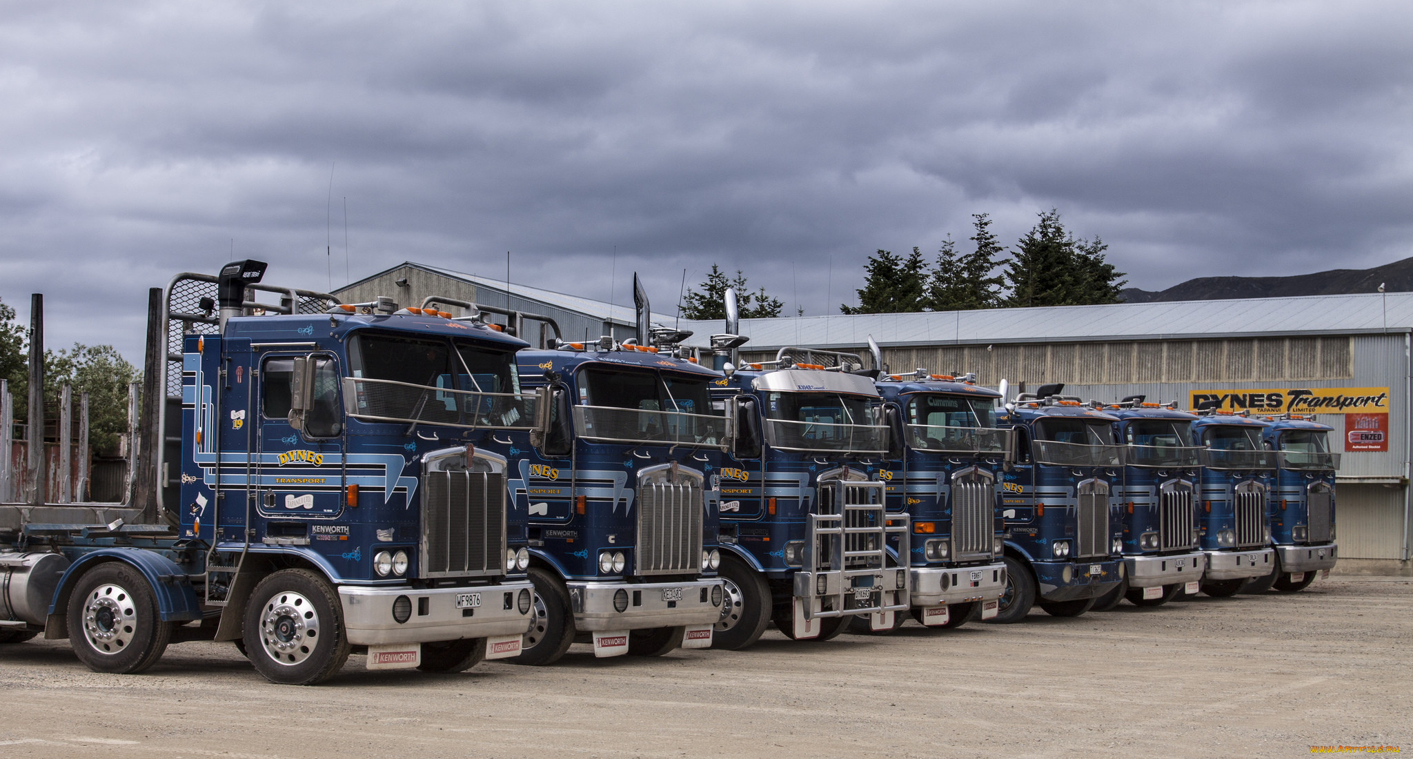 kenworth, , truck, company, , , 